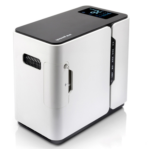 Homecare 1L Oxygen Concentrator Hight Purity Oxygenerator Manufacturers and Suppliers from China