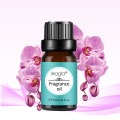 Inagla Blackberry Oli 10ml Fragrance Oil Natural Aromatherapy For Aromatherapy Diffusers Massage Relieve Stress Air Fresh