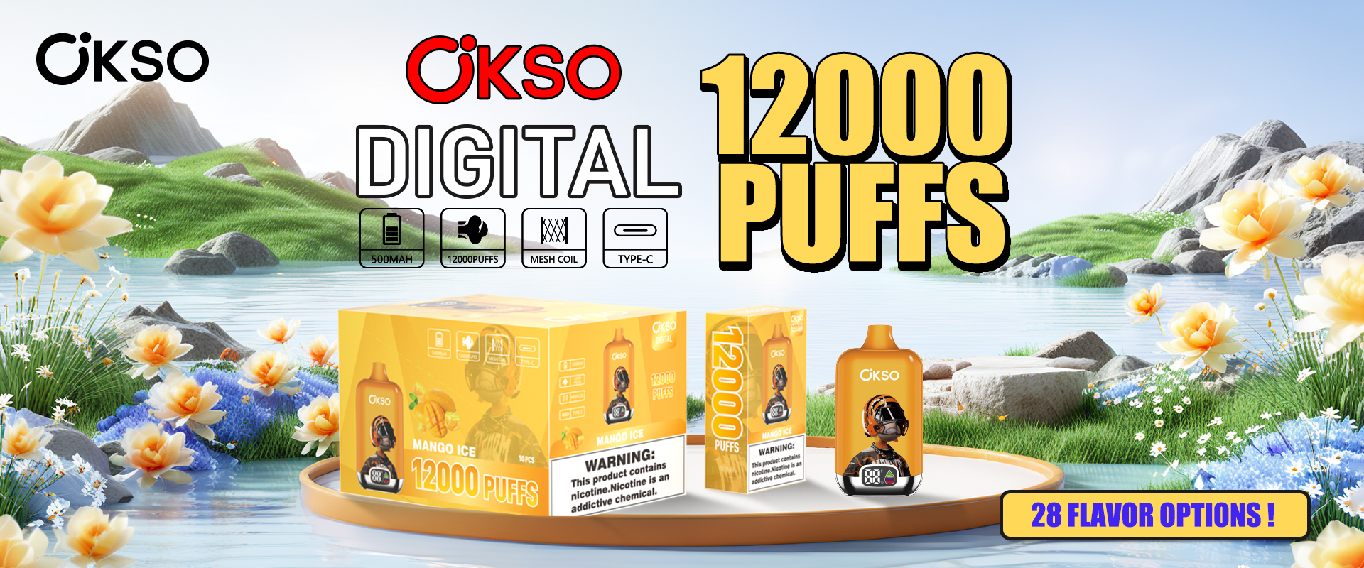 OKSO Digital box 12000