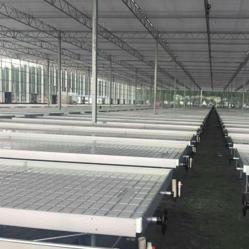 Agriculture Seed rolling bench For Greenhouse Manufacturers and Agriculture Seed rolling bench For Greenhouse Suppliers