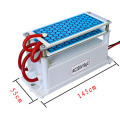 Ceramic Ozone Generator 220V/110V 10g Double Integrated Long Life Ceramic Plate Ozonizer Air Water Air Purifier
