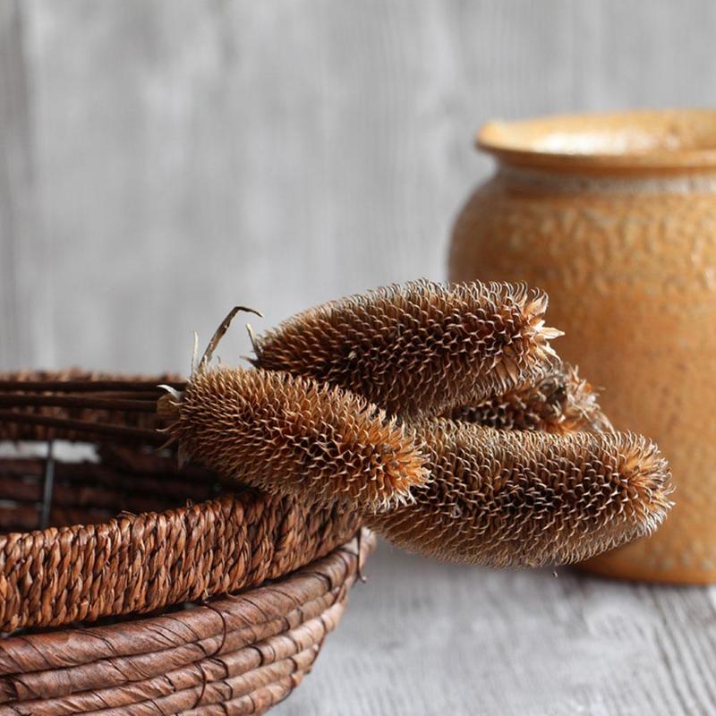 Natural Dried Flowers Dried Daisy Real Branch Acorn Pine Wheat Cotton Nordic Home Wedding Party Decoration