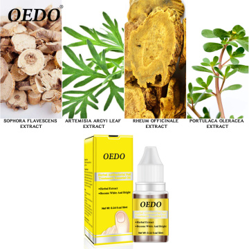 High Quality 10ml Nail Fungus Treatment for Onychomycosis Removal Antifungal Nail Care Repair Solution