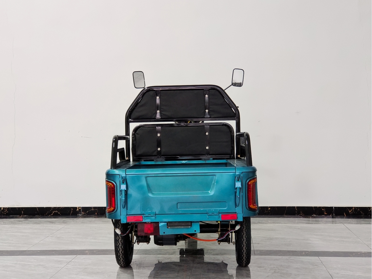 Small cargo electric tricycle