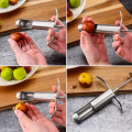 Stainless Steel Professtional Jujube Corer Fruit Core Seed Remover Jujube Corer Kitchen Gadgets Vegetable Tools Fruit Product