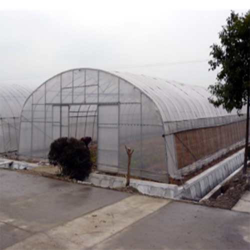 Single Span Plastic Film Greenhouse Manufacturers and Single Span Plastic Film Greenhouse Suppliers