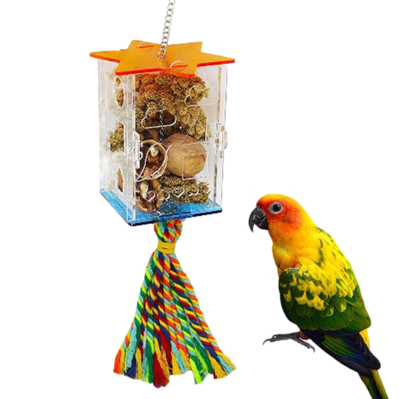 Bird Foraging Toys Parrot Feeder Intelligence Cage Acrylic Food Box Swing Rope Toys Millet Container for Cockatiel Conure