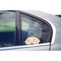 Three Ratels FC168 3D Stewie Peeking from the Window Car Sticker Rear Windshield Bumper Body Styling Car Accessories Vinyl Decal