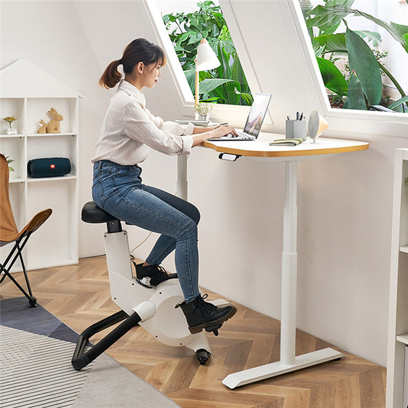 Adjustable Standing Desk Home Office Desk
