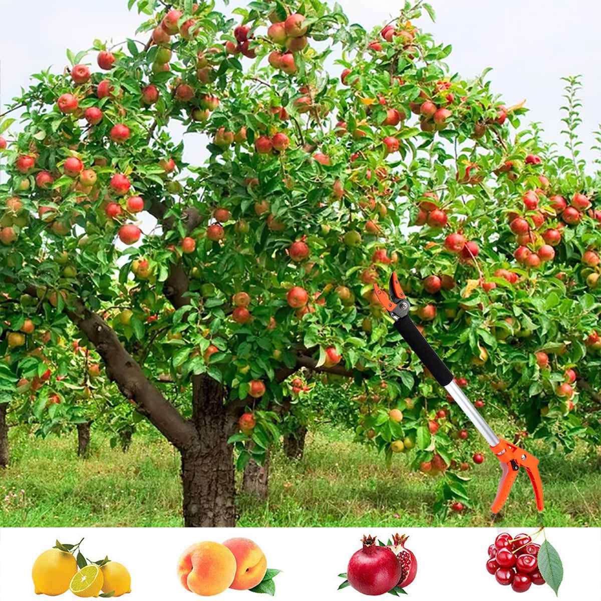 0.6-1M Extra Long Pruning and Hold Bypass Pruner Max Cutting 1/2 inch Fruit Picker Tree Cutter Garden Supplies