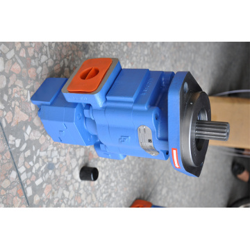 Professional Custom Liugong 11C0353 Bomke Gear Pump Gear Pump Hydraulic