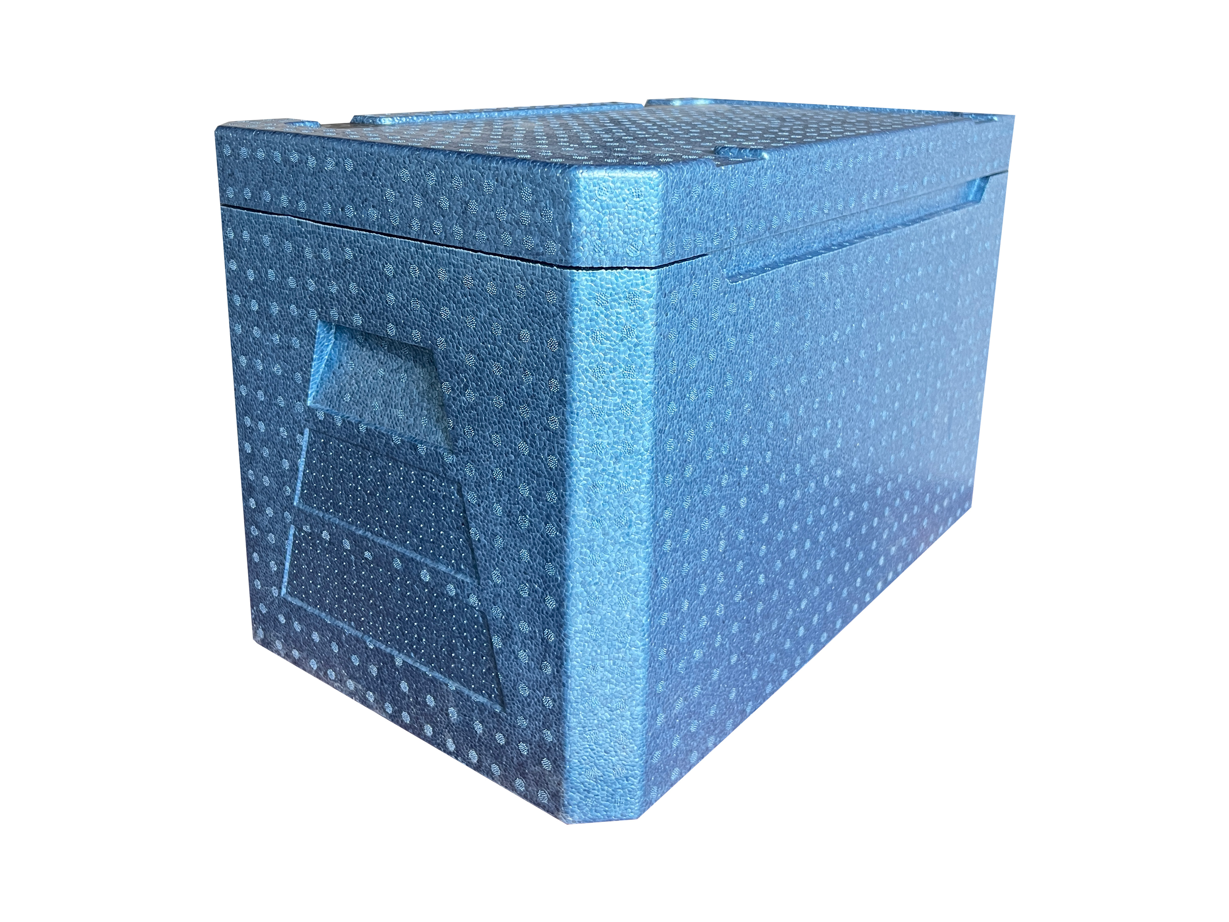 Cool Box (12)