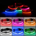 Nylon LED Pet Dog Collar Night Safety Flashing Glowing Collar Leash For Dogs Luminous Fluorescent Pet Supplies arnes perro