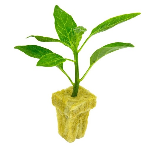 Skyplant Indoor Hydroponic Rockwool Cubes With Hole Manufacturers and Skyplant Indoor Hydroponic Rockwool Cubes With Hole Suppliers