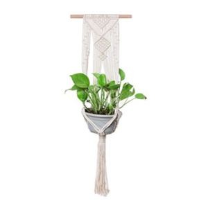 wall plant hangers outdoor