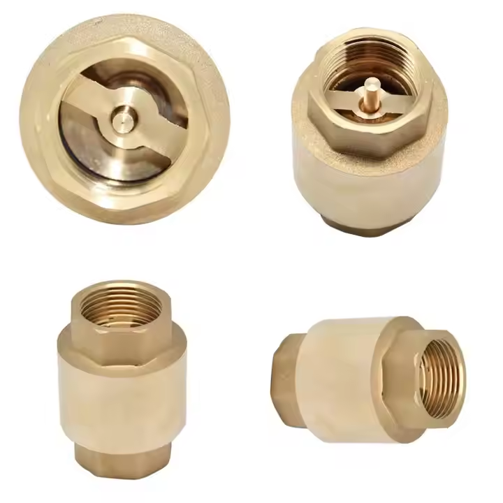 brass vertical check valve