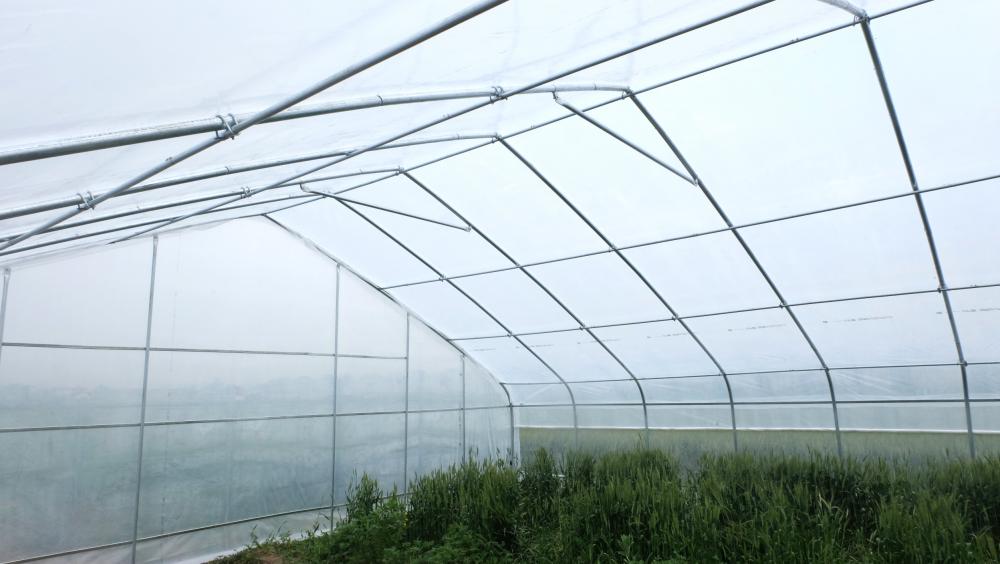 Industrial film greenhouses growing greenhouse metal frame