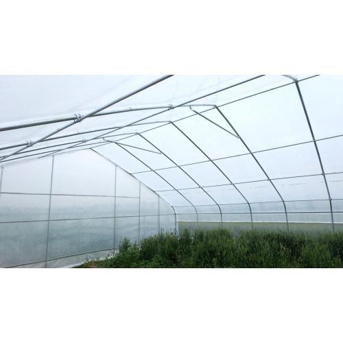 Film Single span greenhouse for vegetables Manufacturers and Film Single span greenhouse for vegetables Suppliers