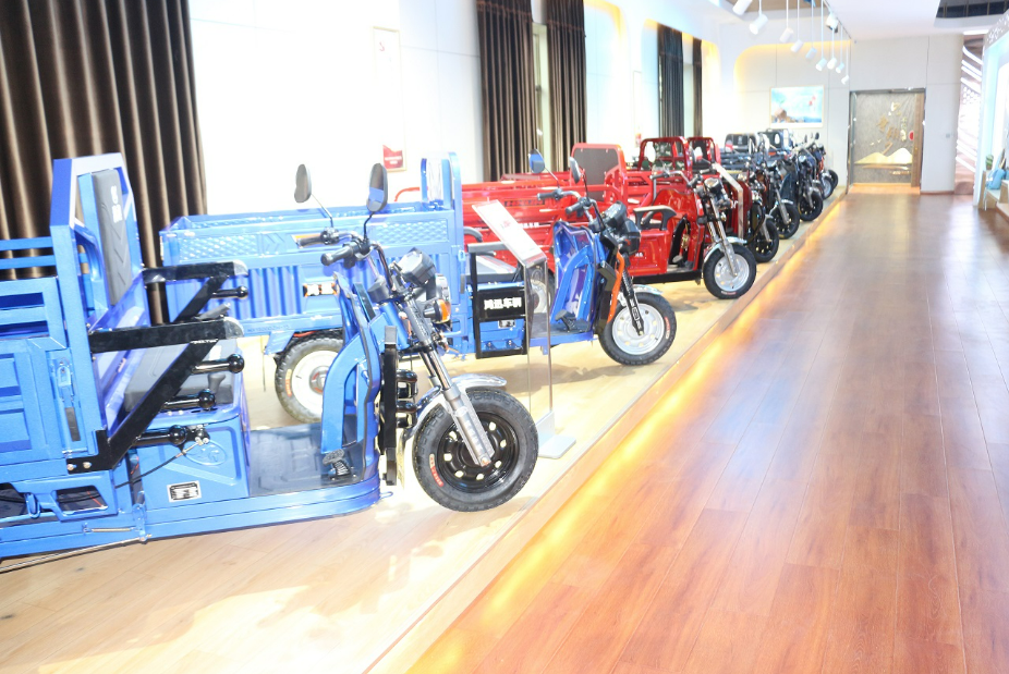 800 W Motor Small Electric Tricycle