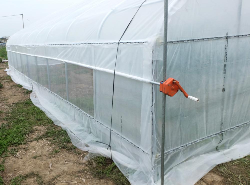 Professional Large Size Durable PE Film Greenhouse