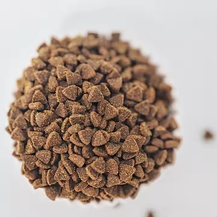 dog food (4)