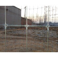 Rural High Tensile Livestock Fencing