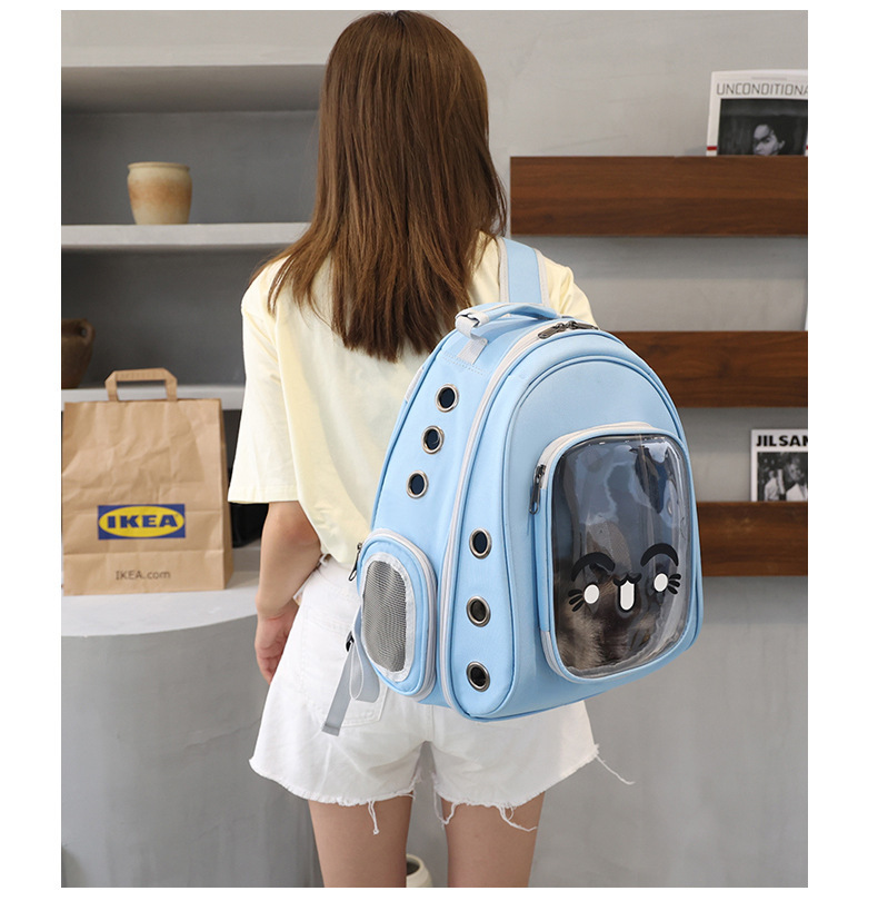 Pet Travel Carrier