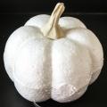foam pumpkin
