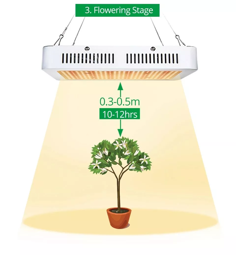 Indoor Greenhouse Plant Growth Full Spectrum Grow Lights