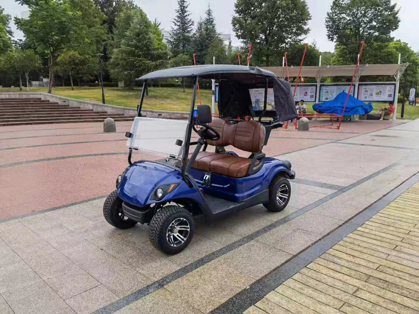 cart golf