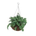 Doll House 1/12 Scale Dollhouse Miniature Clay Hanging Plant Garden Home Decora Access Artificial Plants Baby Classic Toys Gift