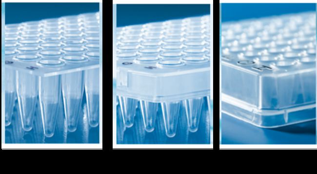 PCR plate