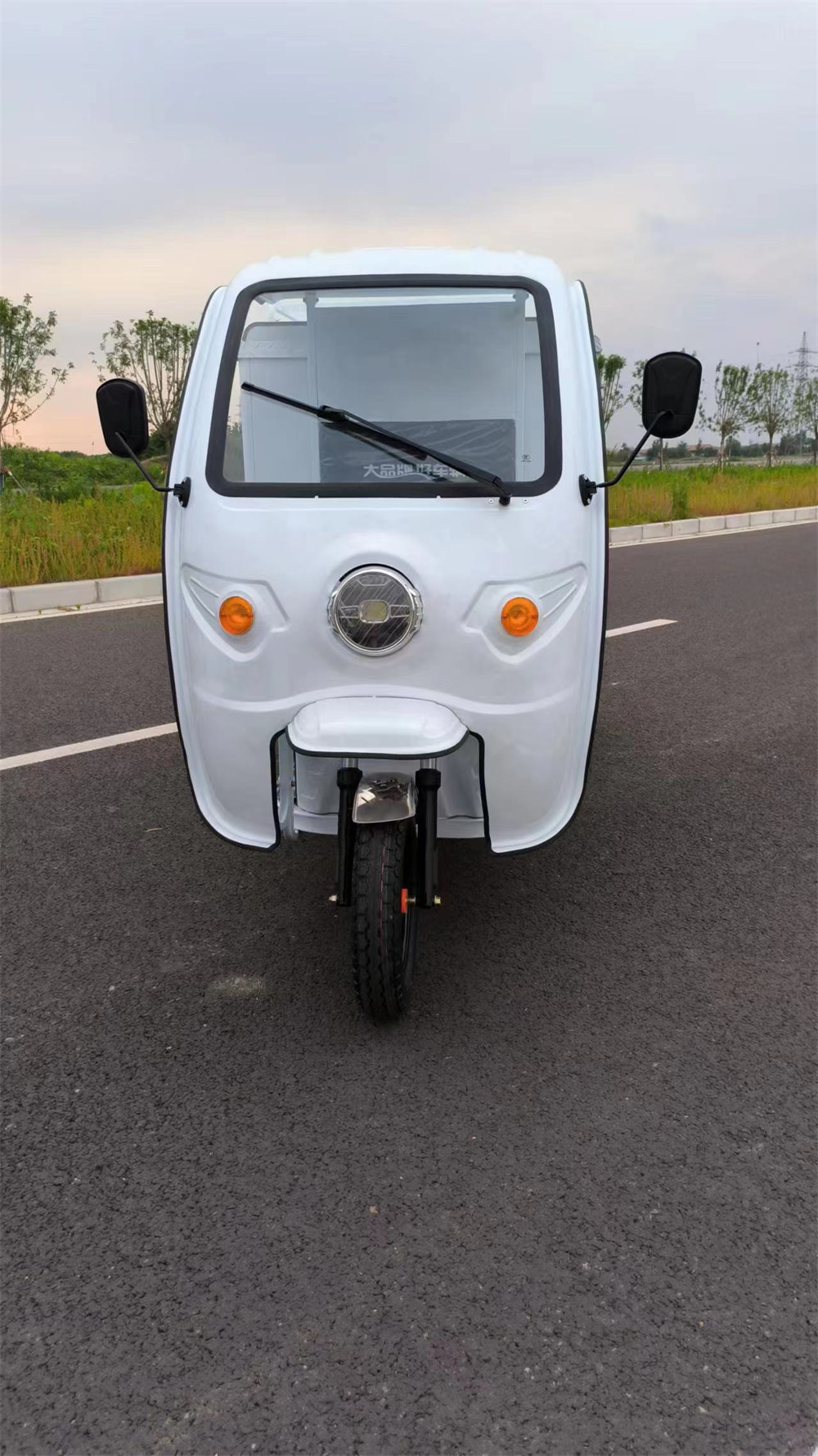 Electric tricycle for daily loads