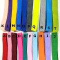 HL 2CM Width 1 Meter Colorful Highest Nylon Elastic Bands Garment Trousers Bags Home Textile Sewing Accessories DIY