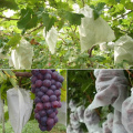 100Pcs Fruit Grape Protect Bags Anti-Bird Insect Moisture Net Bag Breeding Bag Pest Control Tools Mosquito Net Plant Covers