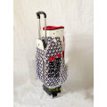 DEZENS New Golf Bag Women Full Clubs Set Standard Golf Bags Pink/Black printing