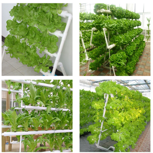 Complete Vertical Indoor Hydroponic Rockwool Cubes Manufacturers and Complete Vertical Indoor Hydroponic Rockwool Cubes Suppliers