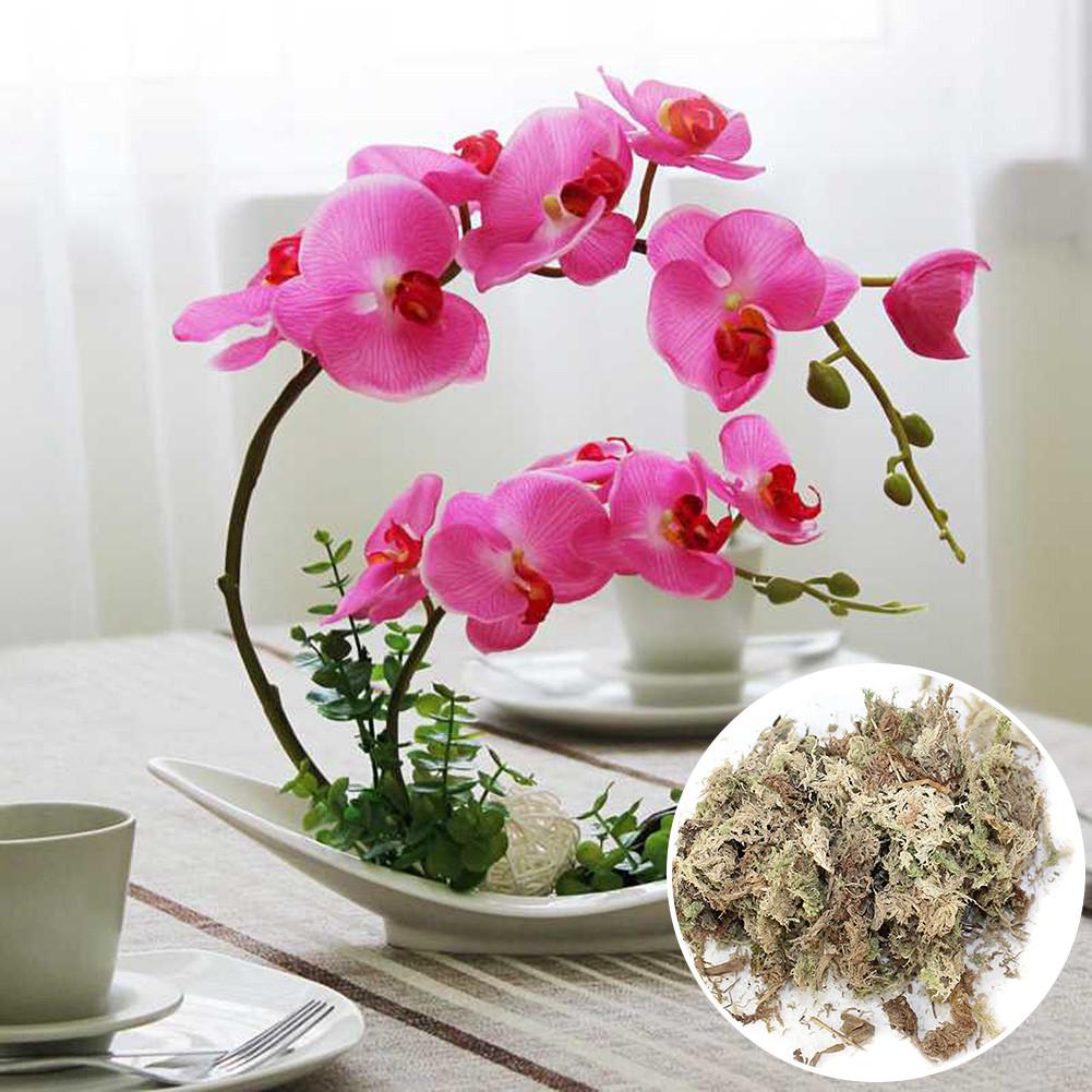 1 Pack Sphagnum Moss Garden Bonsai Moisturizing Nutrition Organic Fertilizer for Garden Phalaenopsis Orchid