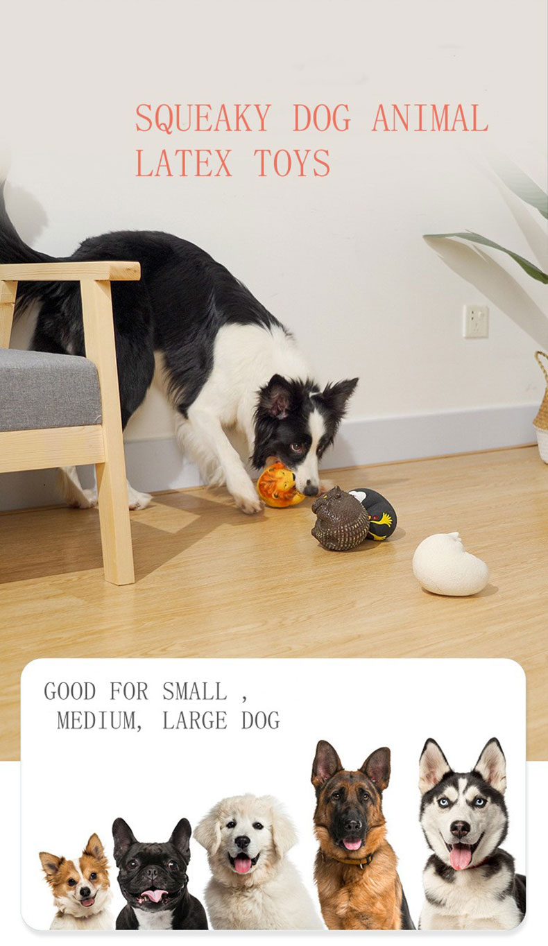 Pet Toy for Medium and Large Dog