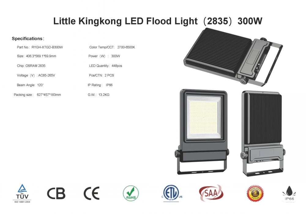 led flood light specifications-RYGH-20218
