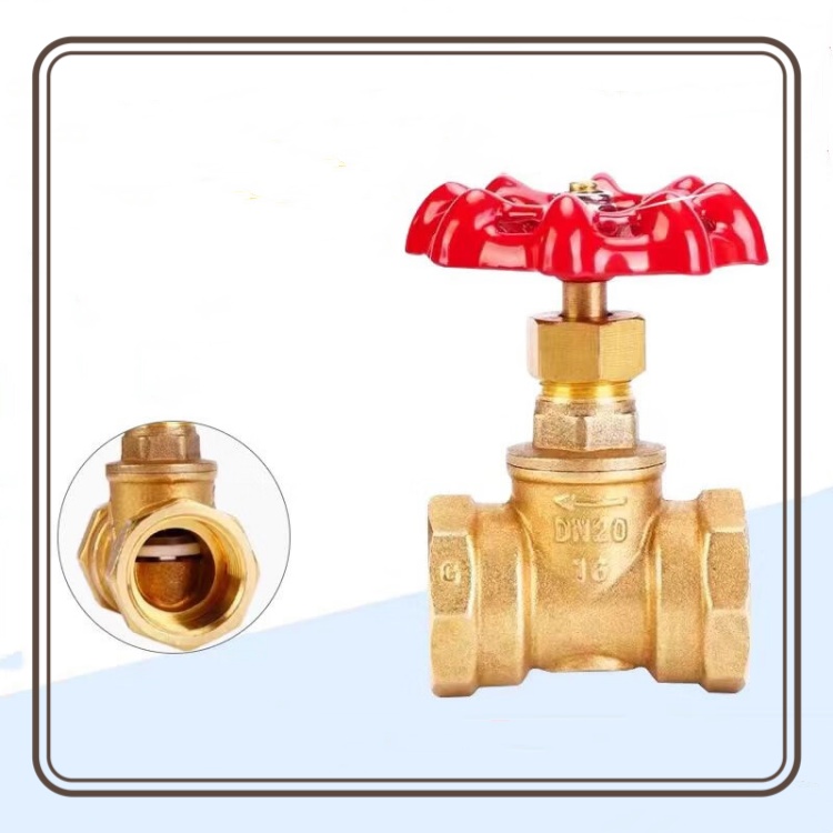 Brass Globe Valve