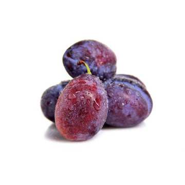 High quality for prune powder