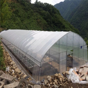 Economica Plastic Sheet Single Tunnel Greenhouse