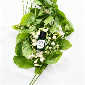 Jasmine Essential Oil For Home Aroma And Gift
