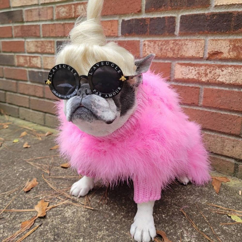 High Quality Custom Petsmart Pet Sweater