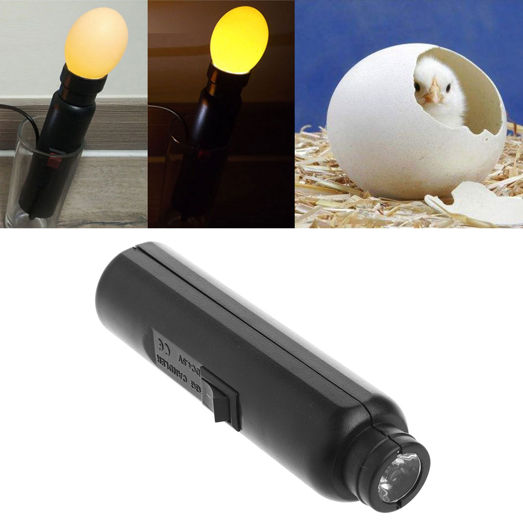 2020 New LED Light Incubator Egg Candler Tester For Hatching Eggs Quail Poultry EU Plug