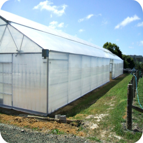 Single Span Plastic Film Greenhouse For Plant Manufacturers and Single Span Plastic Film Greenhouse For Plant Suppliers