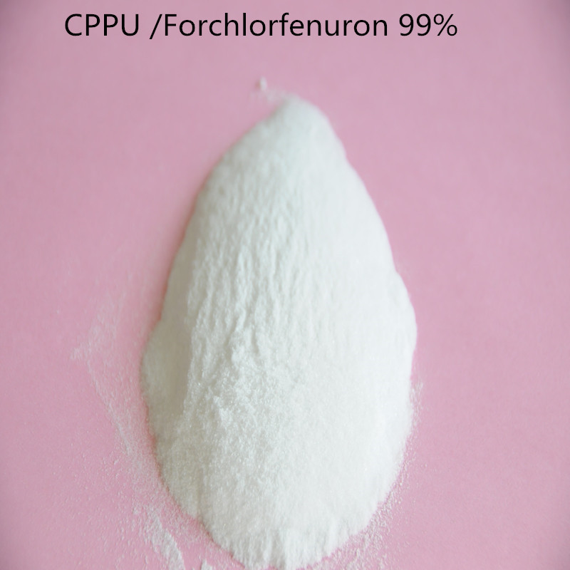 10 gram Forchlorfenuron 98% TC CPPU KT-30 Cytokinin Strong Cell Division Agent with low price free shipping door to door