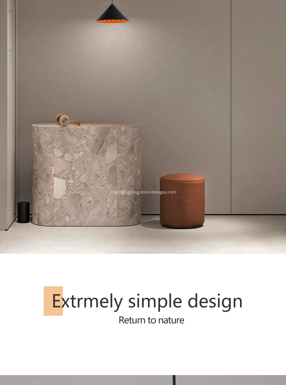 Minimalist Pendant Lamp Chandelier 0209 4