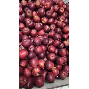 Premium Highland Apples YNZTXIGUO Mountain-Grown Excellence